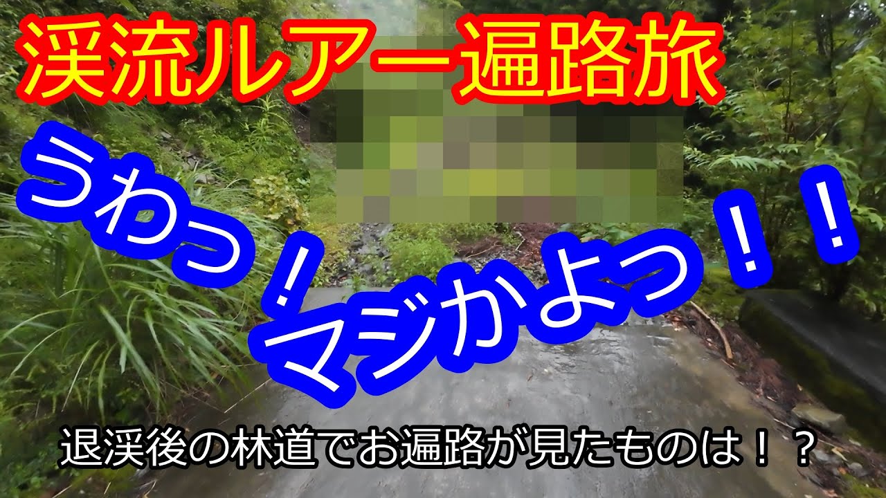 渓流ルアー遍路旅「マジかよ！林道で遭遇した初めての出来事にお遍路驚愕」