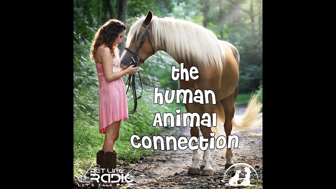 The Human-Animal Connection 83 From Destructive Dog to Therapy Dog