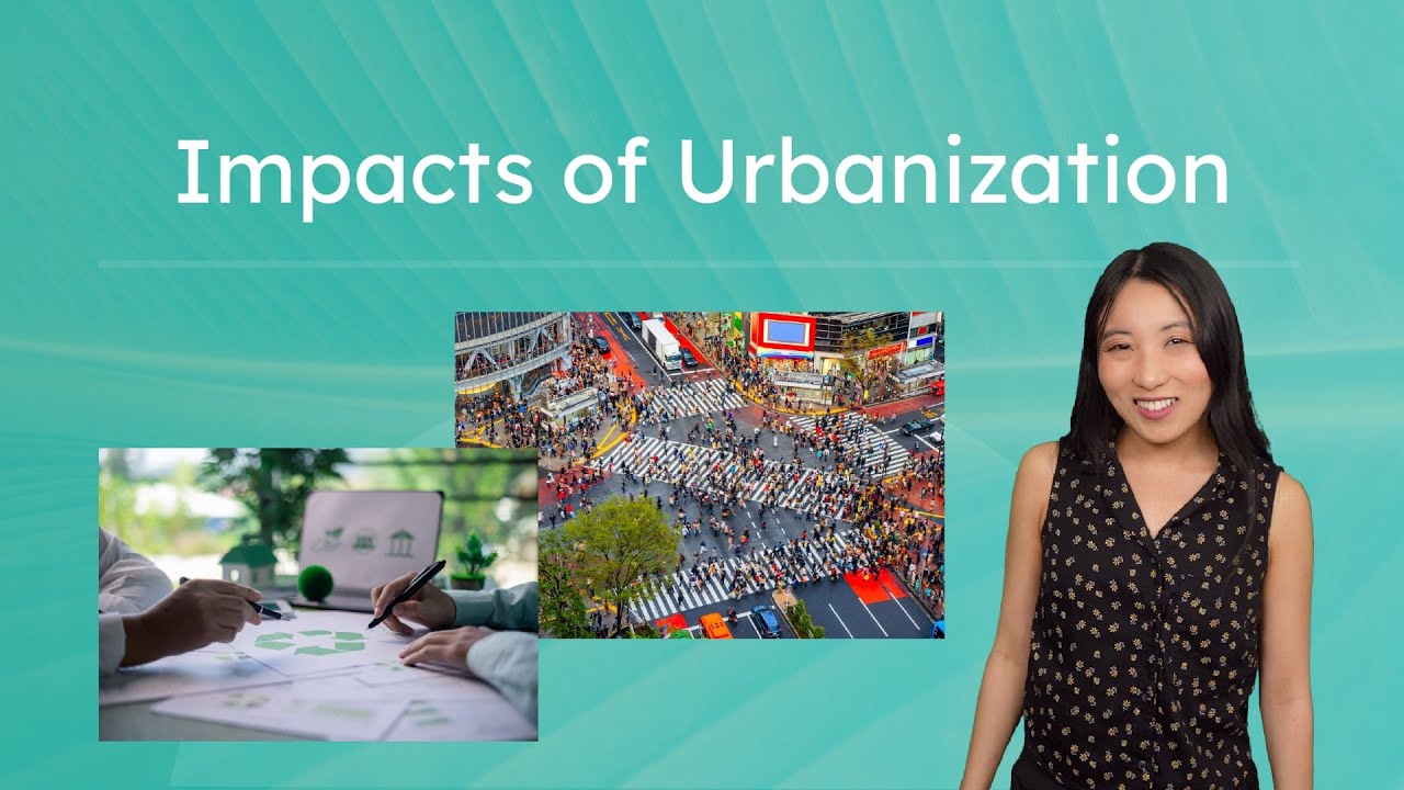 Impacts of Urbanization - How Do Big Cities Impact the Environment?