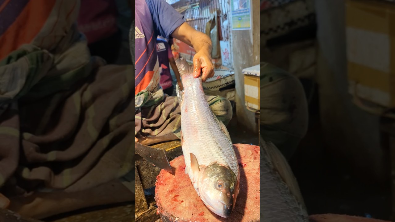 Amazing Big Mrigal Fish Cutting Skills Live In BD Fish#16Market