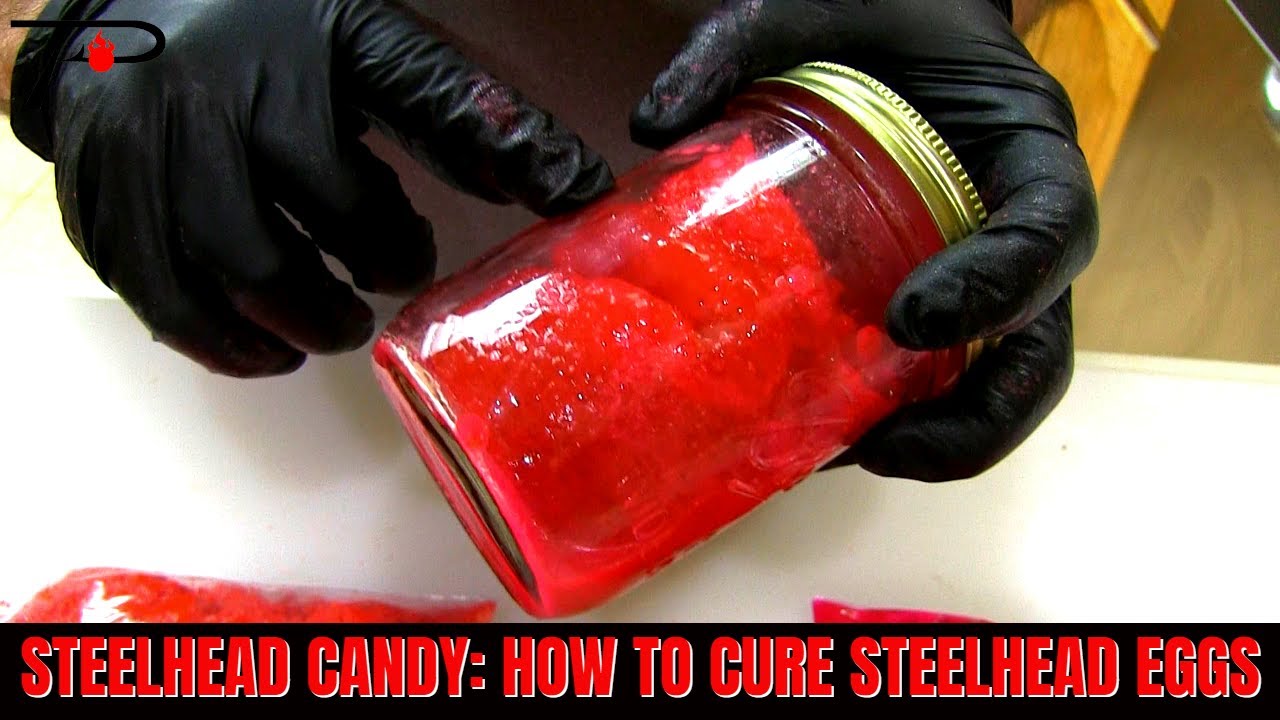 Steelhead Candy: How To Cure Steelhead Eggs