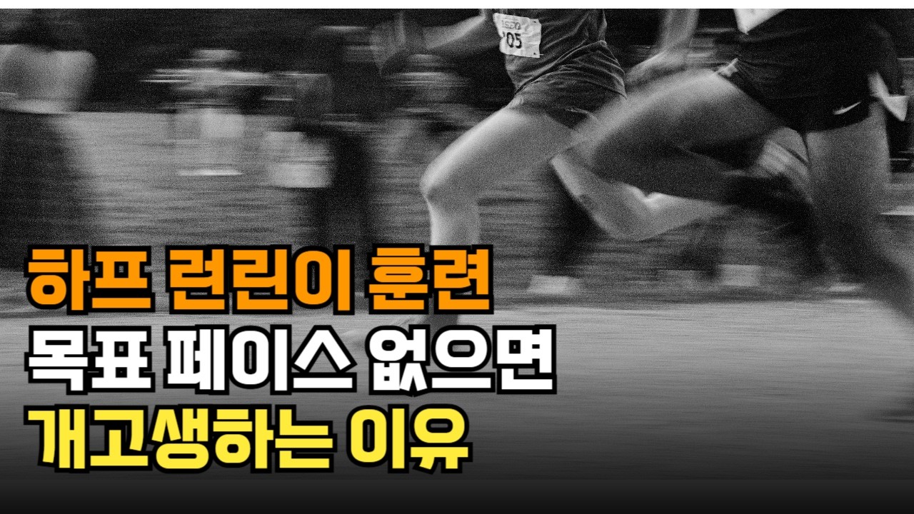 하프 마라톤 훈련이 처음이라면, 꼭 봐야 할 영상!