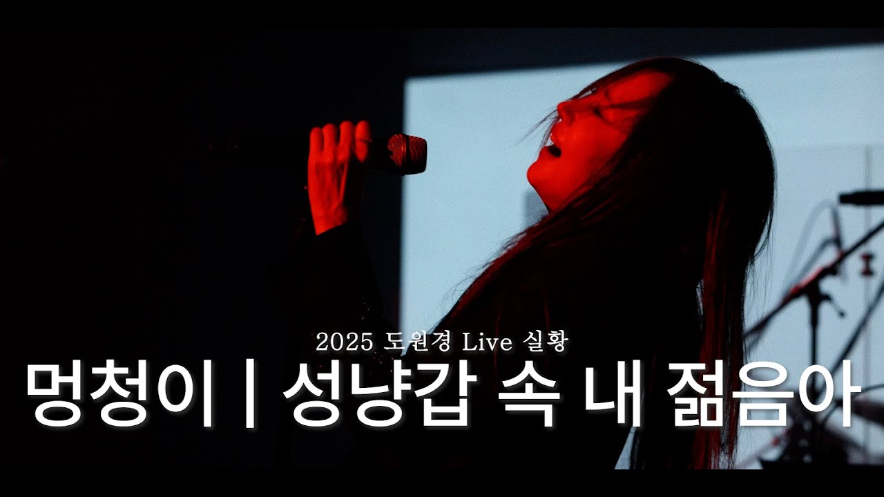 도원경 라이브 콘서트 실황 | 멍청이, 성냥갑속 내 젊음아