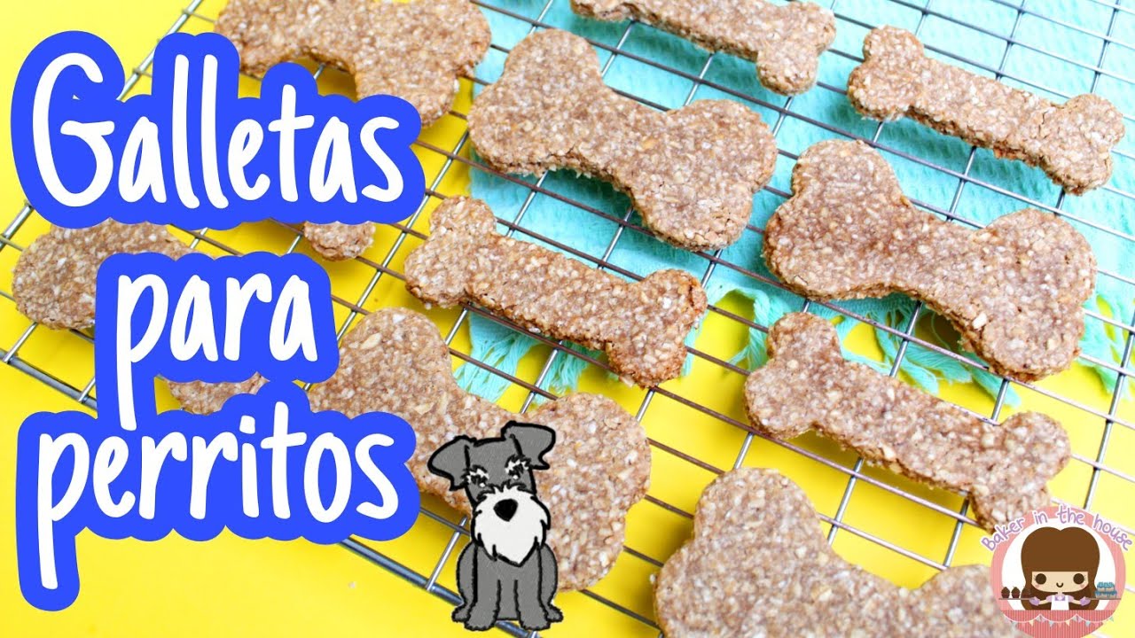 SNACK PARA PERRITOS | GALLETAS DE AVENA PARA PERROS