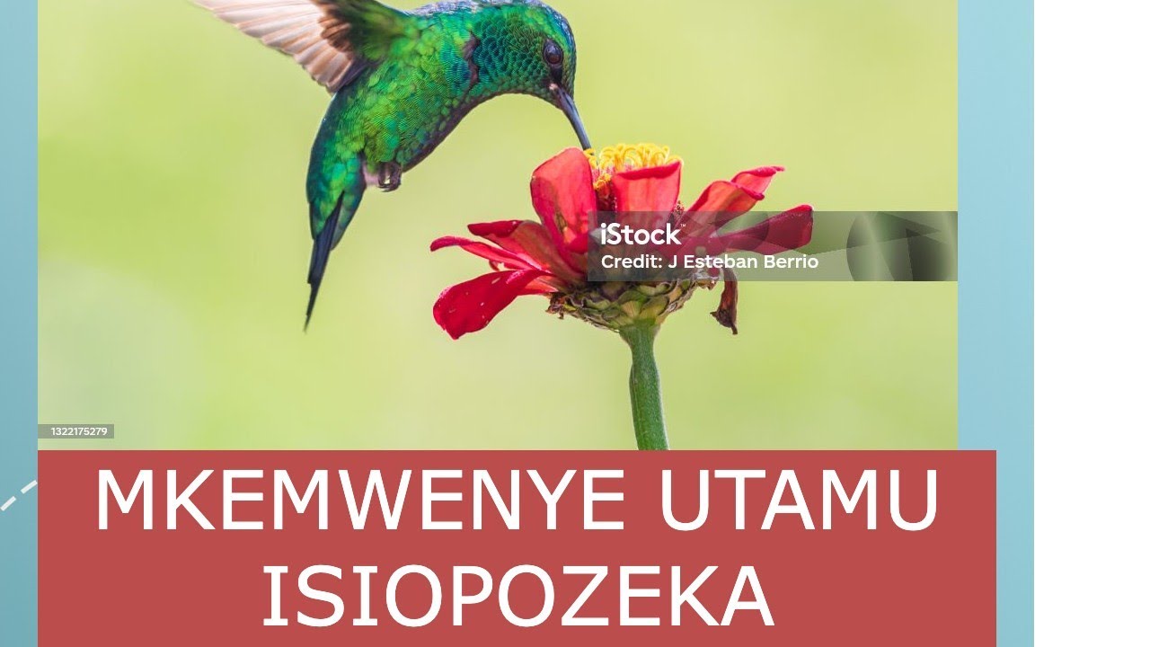 MKE AMFANYE MUMEWE APATE UTAMU UNAOPITILIZA KWA MTINDO HUU MPYA WA SHIKA ACHIA