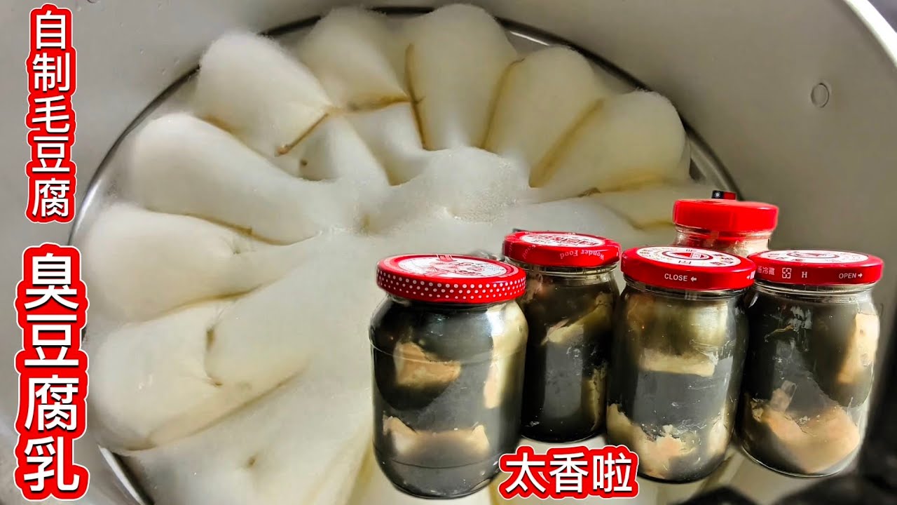 自制臭豆腐乳太香了❗古法制作太簡單 原汁原味 大家一起傳承