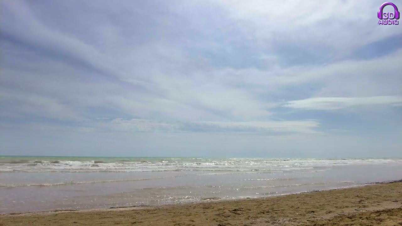 ASMR A windy day 💨 at the beach 🌊
