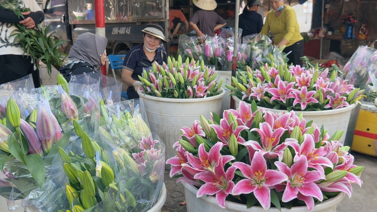 Flower Market 🌸 Fresh Pink Lilies And Busy Vendors | Traditional Market