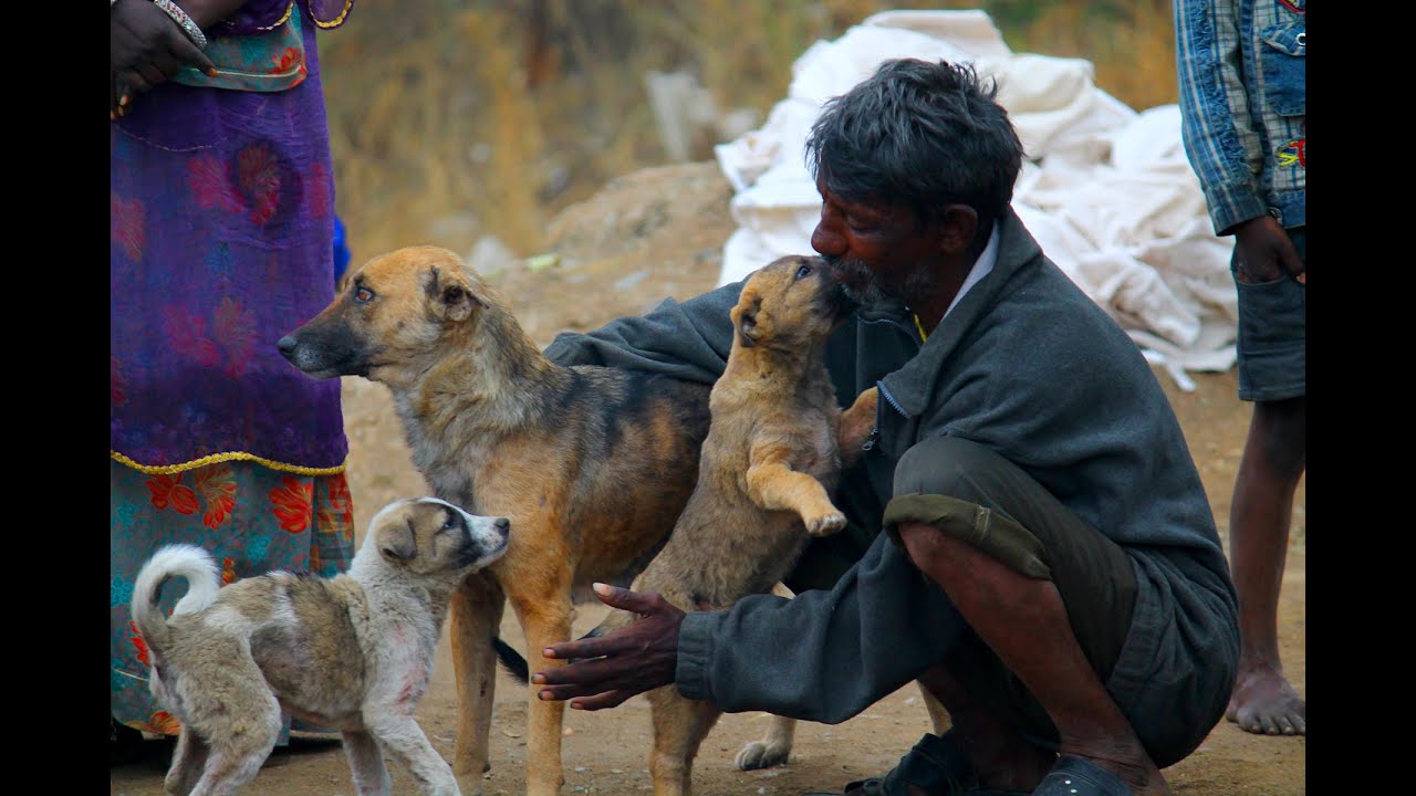 Slum-dweller in India shares food with street dogs.