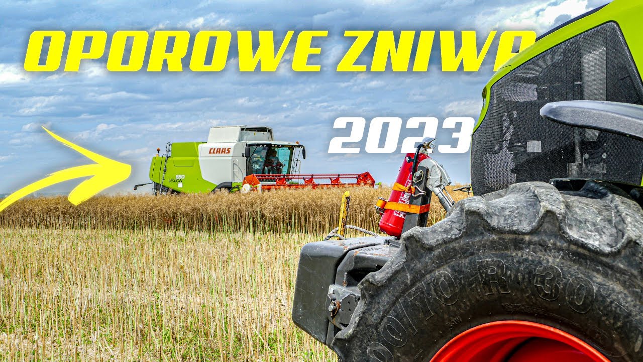☆ Żniwa Rzepaku 2023 ✔ RSP Bujaków ✔ Pierwsi w Okolicy? ✔ Claas Lexion, Tucano, Axion ☆