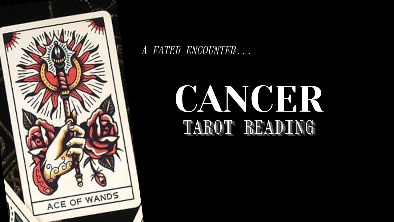 Cancer  ♋︎  Wow Who Is This Unexpected Person About To Walk Into Your Life...🌙✨ Tarot Reading
