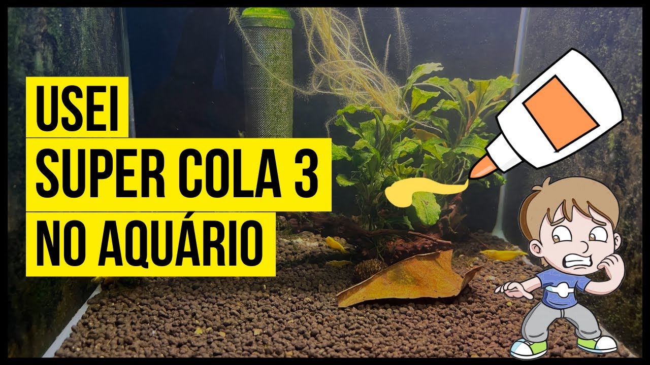Usei cola para fixar plantas e musgo ao tronco do aquário