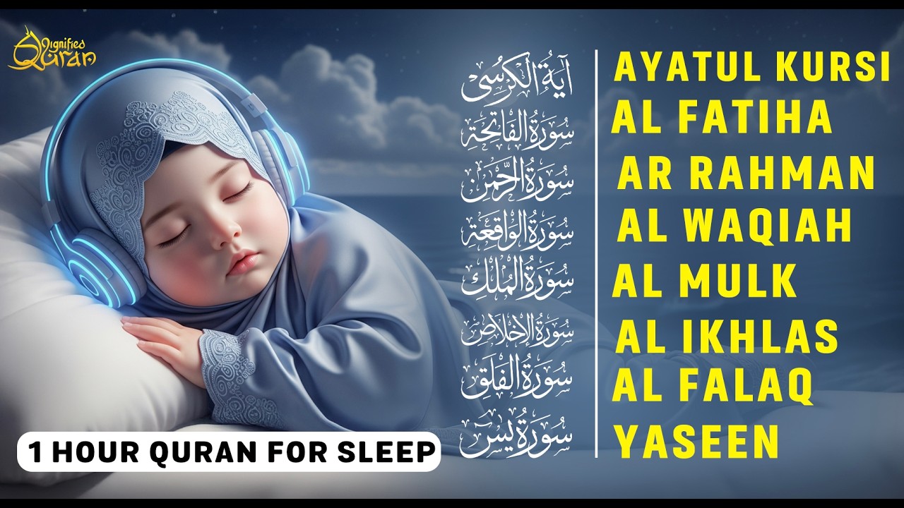 Soul-Calming Quran Recitation | Ayatul Kursi, Al-Fatiha, Surah Ar-Rahman, Al-Mulk, Yasin - Alaa Aqel
