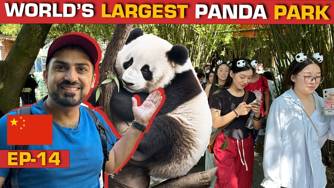 Welcome to the HOME OF PANDAS 🇨🇳| CHENGDU - SECHUAN [EP-14] CHINA SERIES