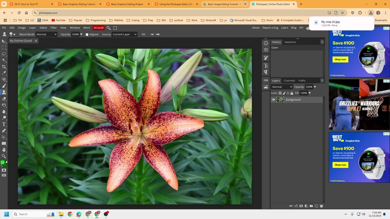 Wk 10 Basic Graphics - Tutorial and Project Directions