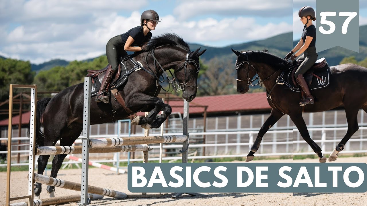Aprende lo Básico del Salto de Obstáculos 🐴 | Tipos de salto, trancos y tips con Maria Xercavins