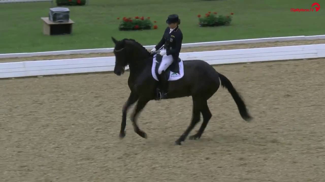 CDI4* Schindlhof 2016 - 1. Platz Dorothee Schneider, Competition 03 - Intermediaire I