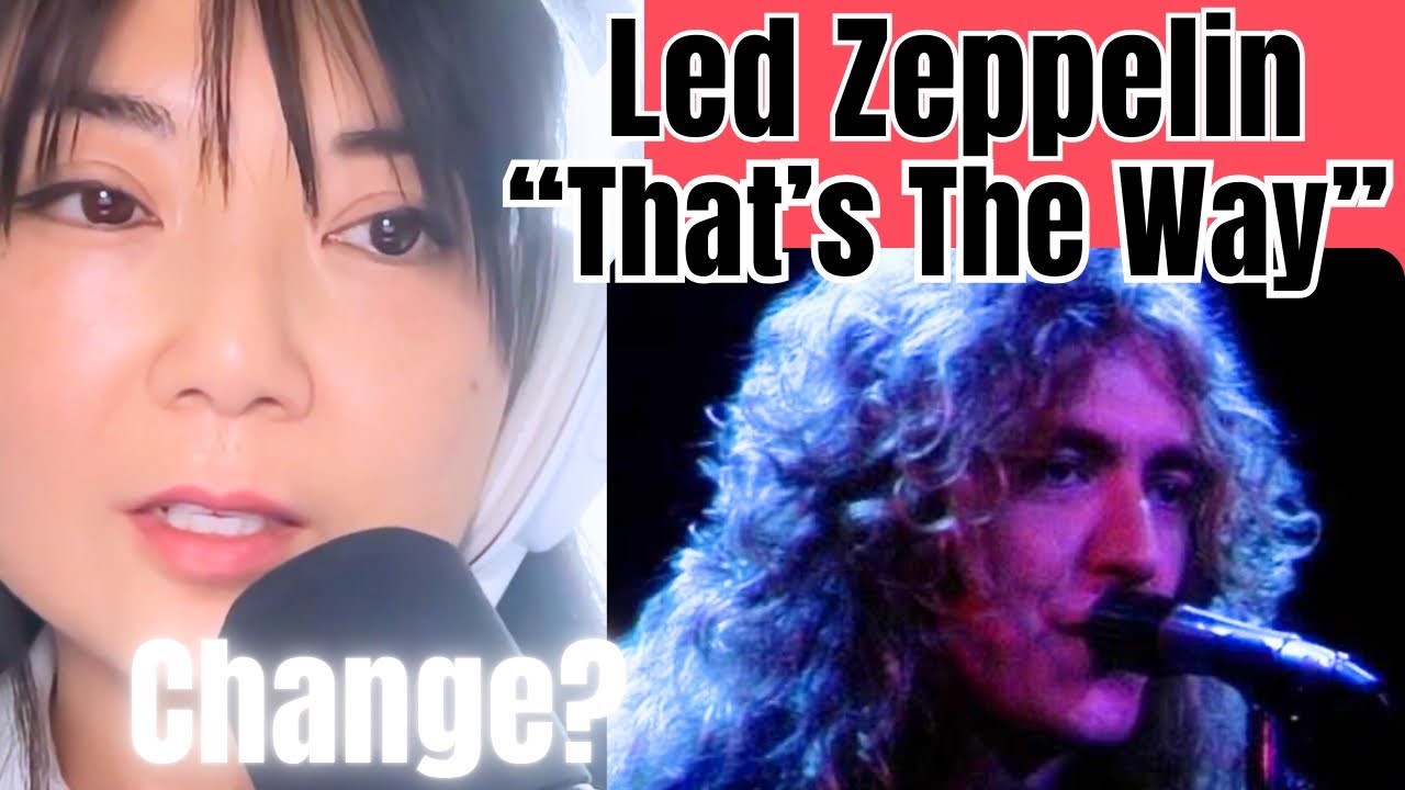 SINGER SONGWRITER Reacts || Led Zeppelin 