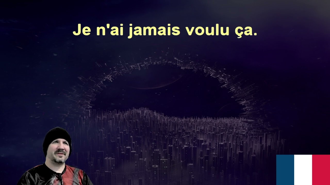 20,000 French Sentences main 8