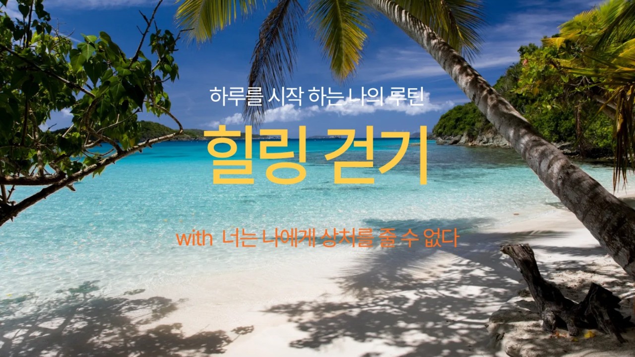 너는 나에게 상처를 줄 수 없다 책과 함께 하는 힐링 산책