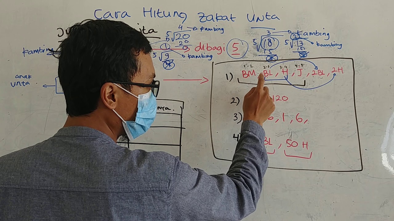 cara hitung zakat unta