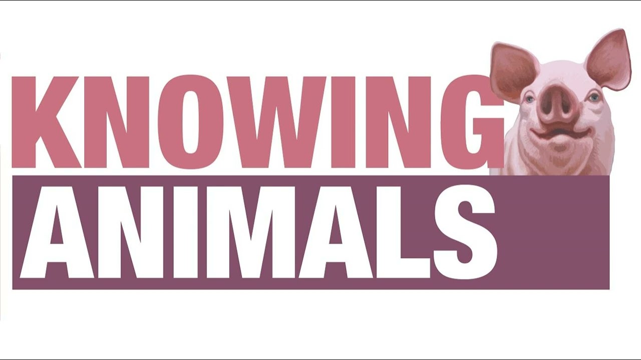 Episode 245: Animal consciousness with Walter Veit