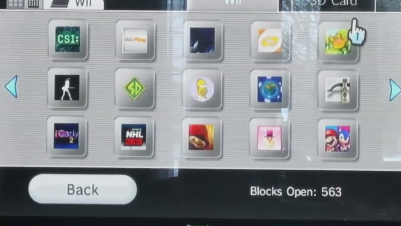 My Wii Save Data Collection (1.11.2024)
