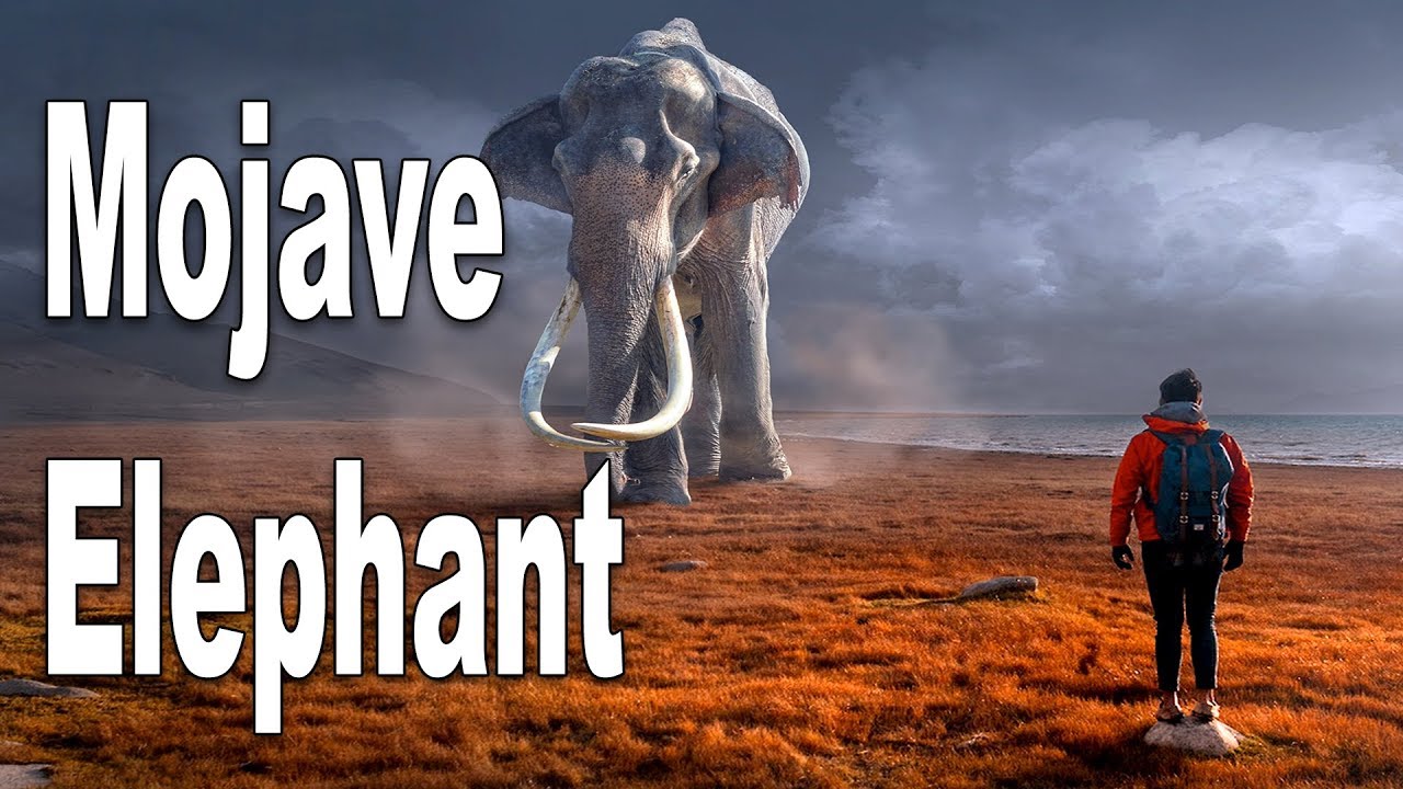 The Mojave Elephant - Unknown Cryptid, Ice-Age Throwback or Living Dinosaur?