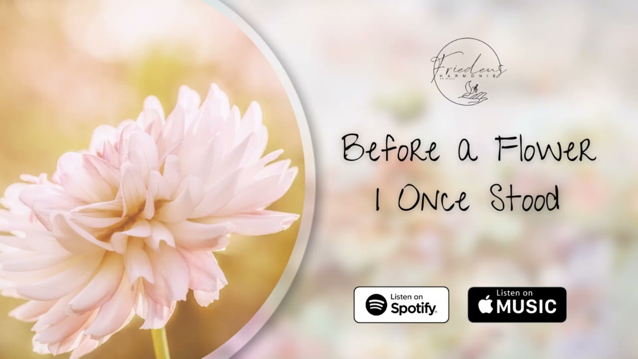 Before a Flower I Once Stood // Vor einer Blume blieb ich steh'n - Friedensharmonie