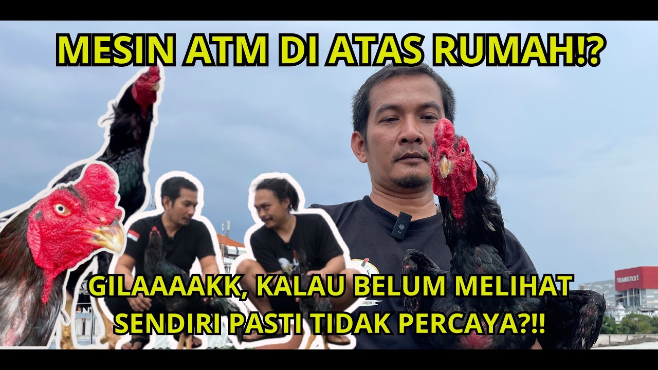 WANJAAAYYY!!? INI SIH ATM DI ATAS RUMAH?!. EPISODE SURABAYA.