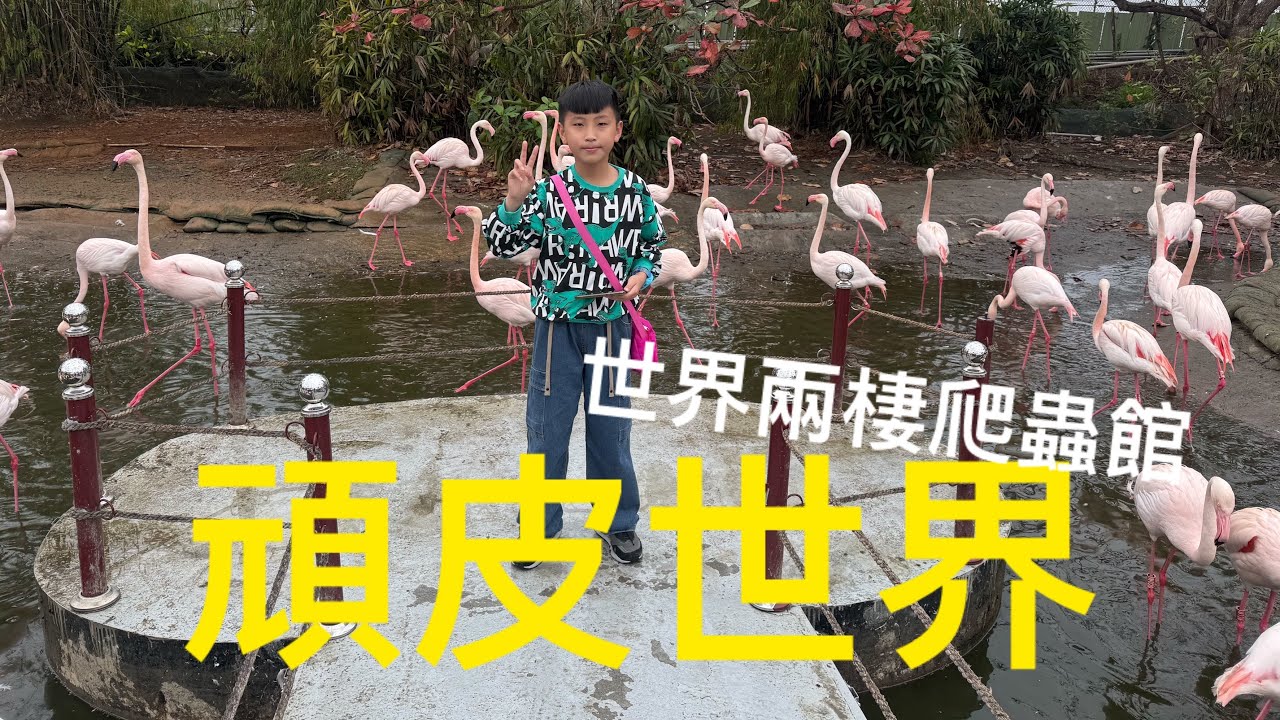 ［就愛玩系列］頑皮世界的紅鶴怎麼那麼多！世界二棲爬蟲館￼的水獺也太可愛了啦😍