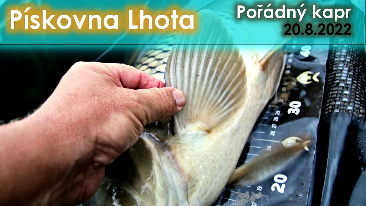 Jezero Lhota rybolov I carp fishing I lov kapra kaprařina #fishhobo #carpfishing #carp #fishingvideo