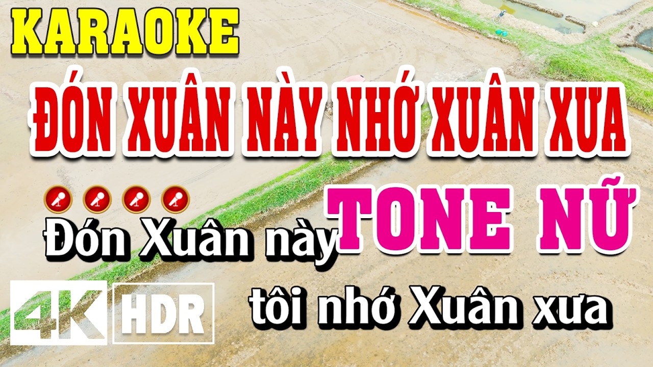 Đón Xuân Này Nhớ Xuân Xưa Karaoke Tone Nữ Beat Chuẩn | Đình Long Karaoke