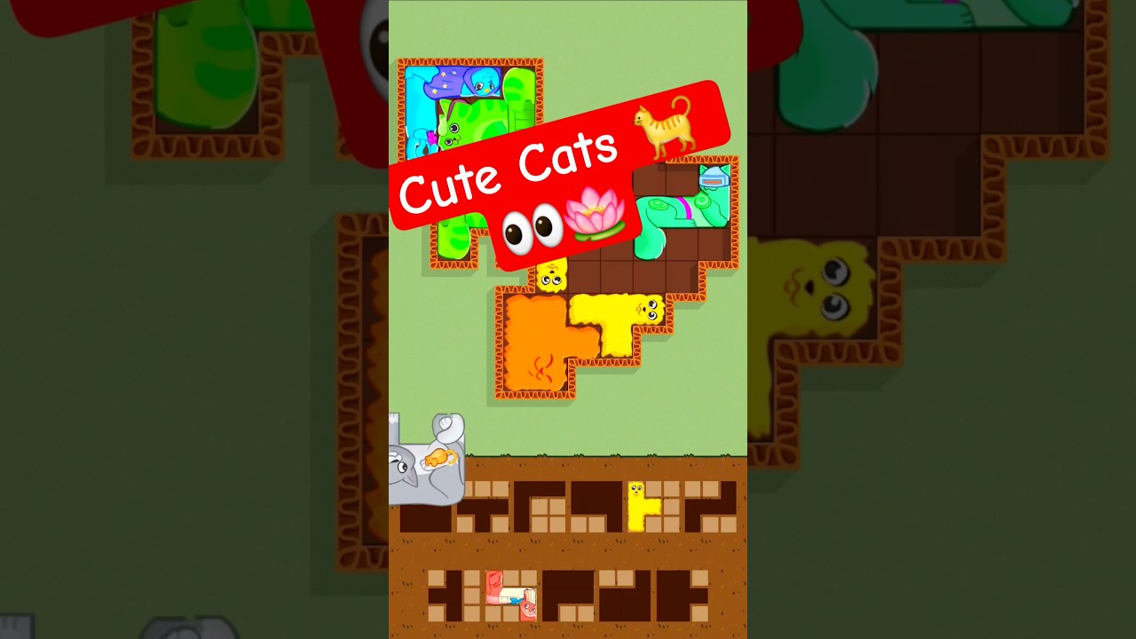 Can You Solve This Cat Puzzle in 10 Seconds? 🐱🧩