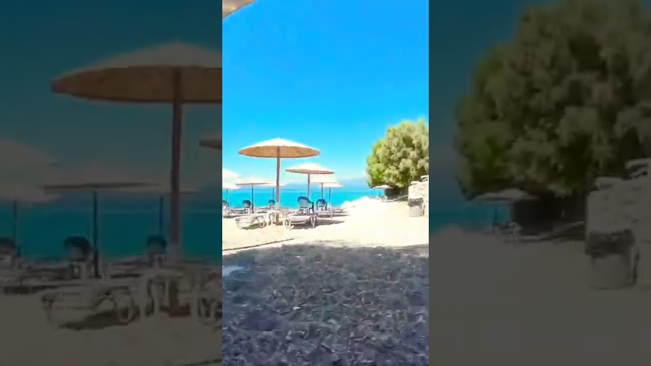line to olives 