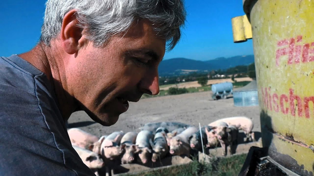 🐖Sa ferme menacée, il ne se laisse pas faire !
