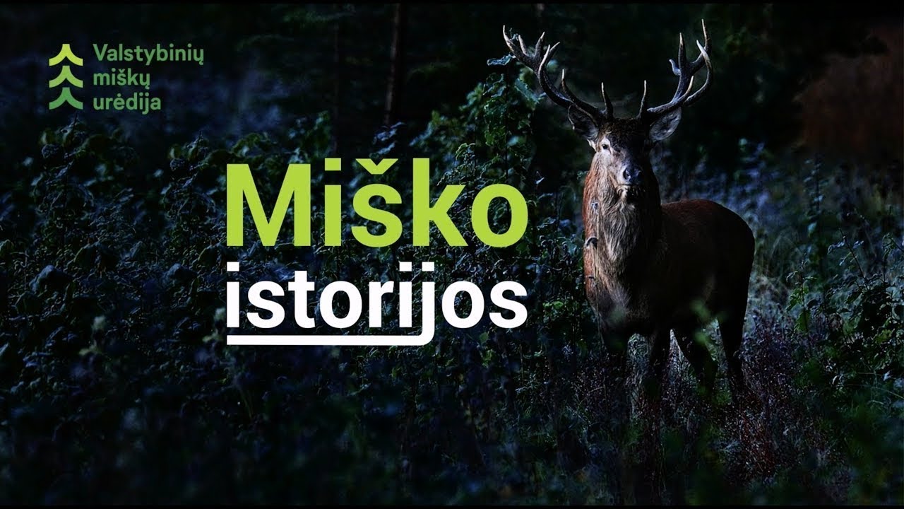 Lietuvos mi&scaron;kuose kasmet pasodina 30 mln. sodmenų | Valstybinių mi&scaron;kų urėdija