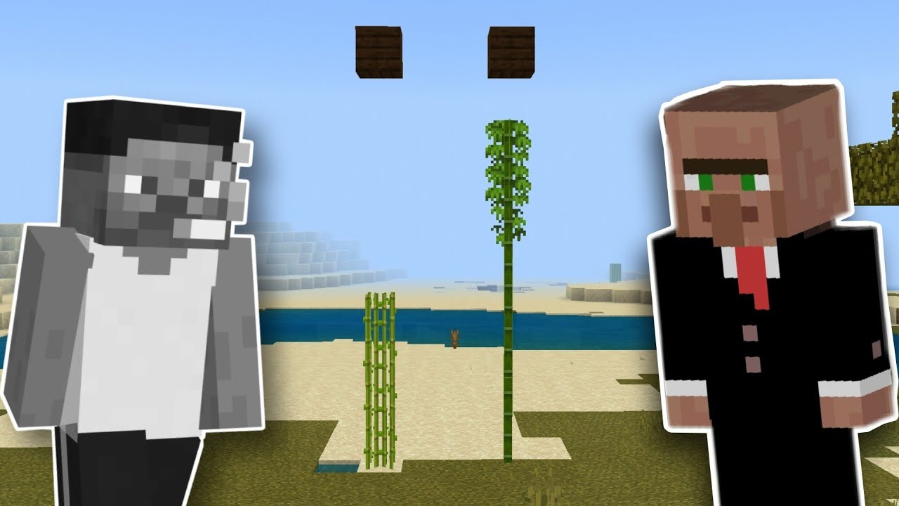 Villageeer's Bamboo vs Steveee' sugar cane Race