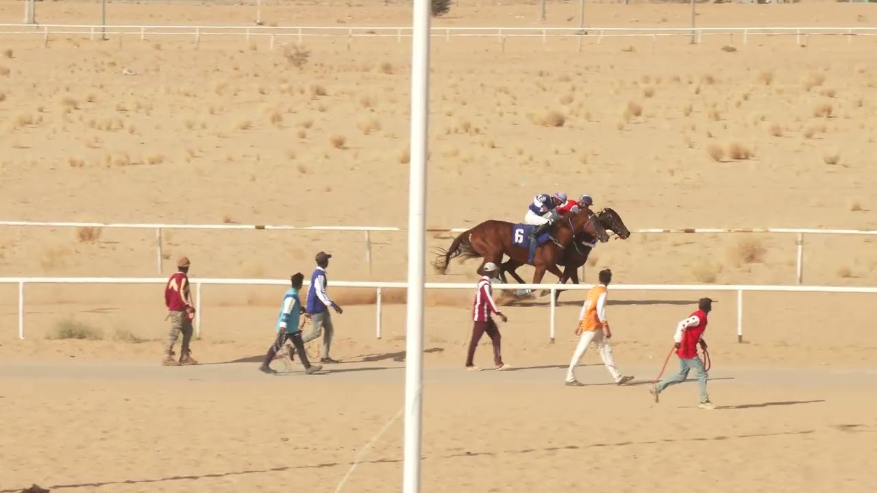 الشوط 3 بالحفل التاسع يوم الاثنين 18 -8-1446هـ