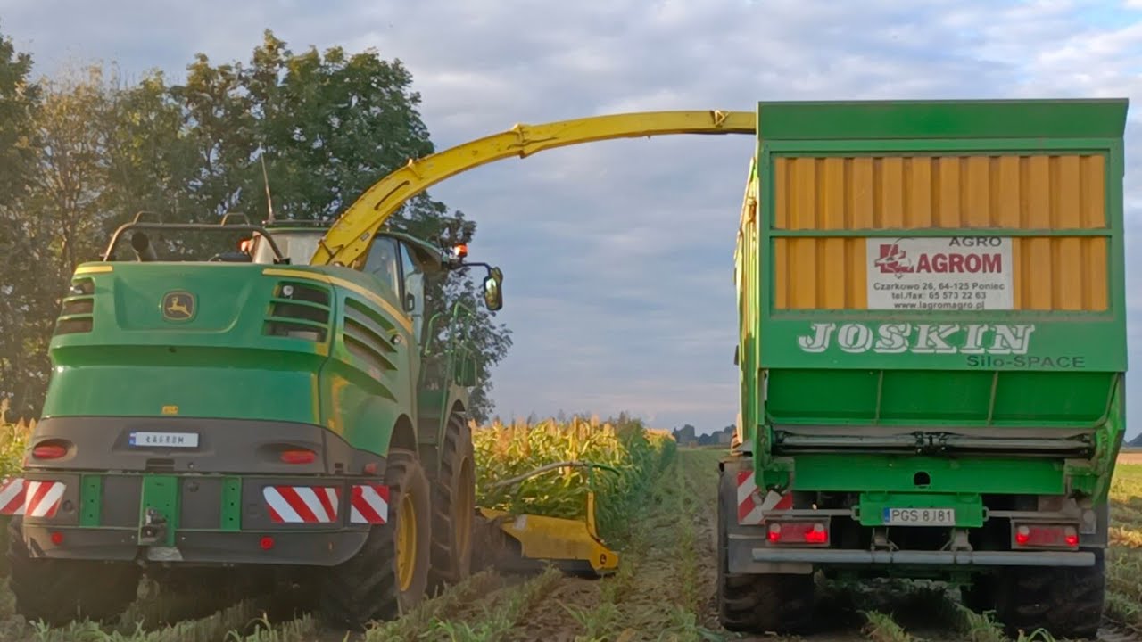 Oporowa Akcja Kukurydza i Sorgo na Kiszonkę / dwie sieczkarnie w akcji / GR Łopaczyk & Agro Łagrom