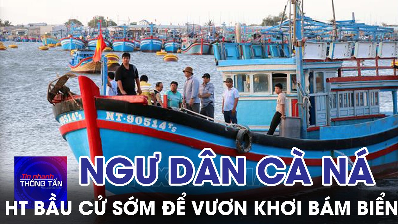 Ngư dân xã Cà Ná hoàn thành bầu cử sớm để vươn khơi bám biển | Tin nhanh Thông tấn