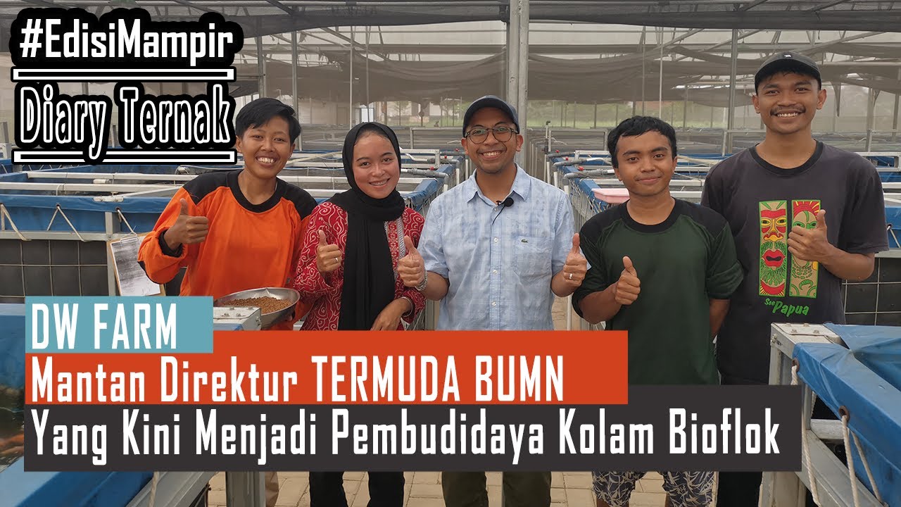 DW Farm Budidaya Kolam Bioflok Modern Dengan Menggunakan Green House. #EdisiMampir #DiaryTernak
