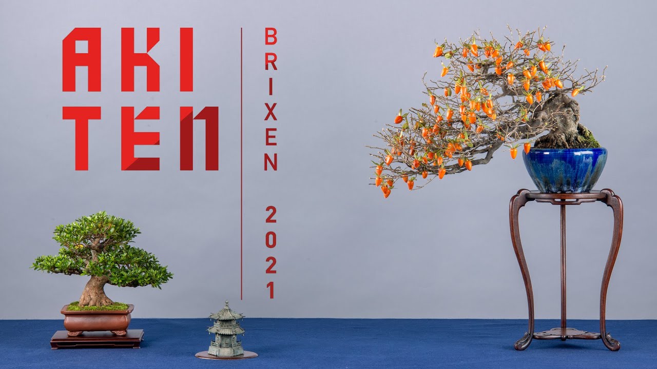 Bonsai Exhibition - AKI TEN 2021, in South Tyrol / Italy