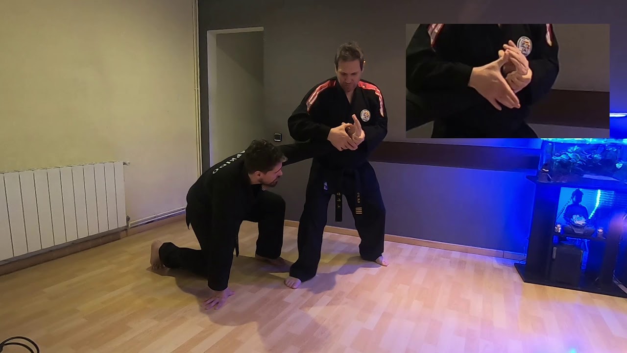 HAPKIDO llaves 3