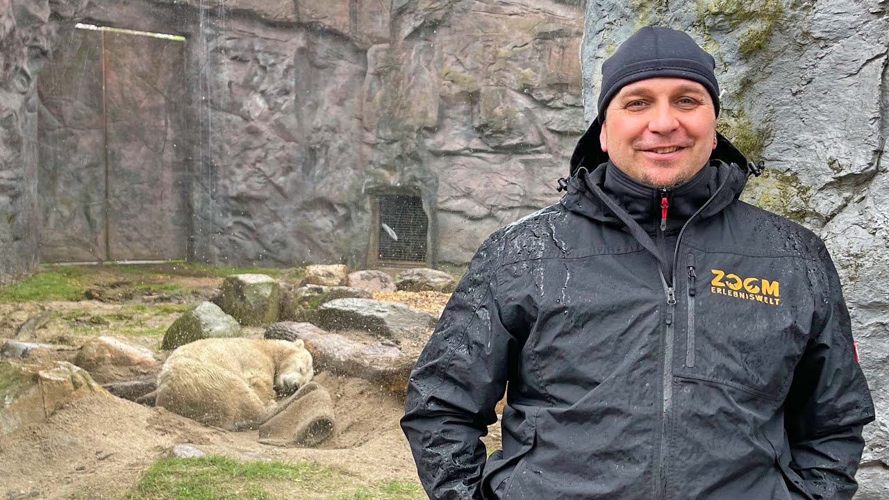 Welttag des Eisbären, 27.02.2022 in der ZOOM Erlebniswelt
