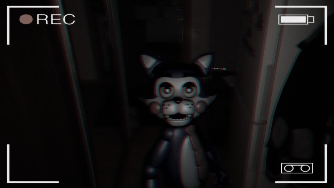 CANDY THE CAT IN REAL LIFE