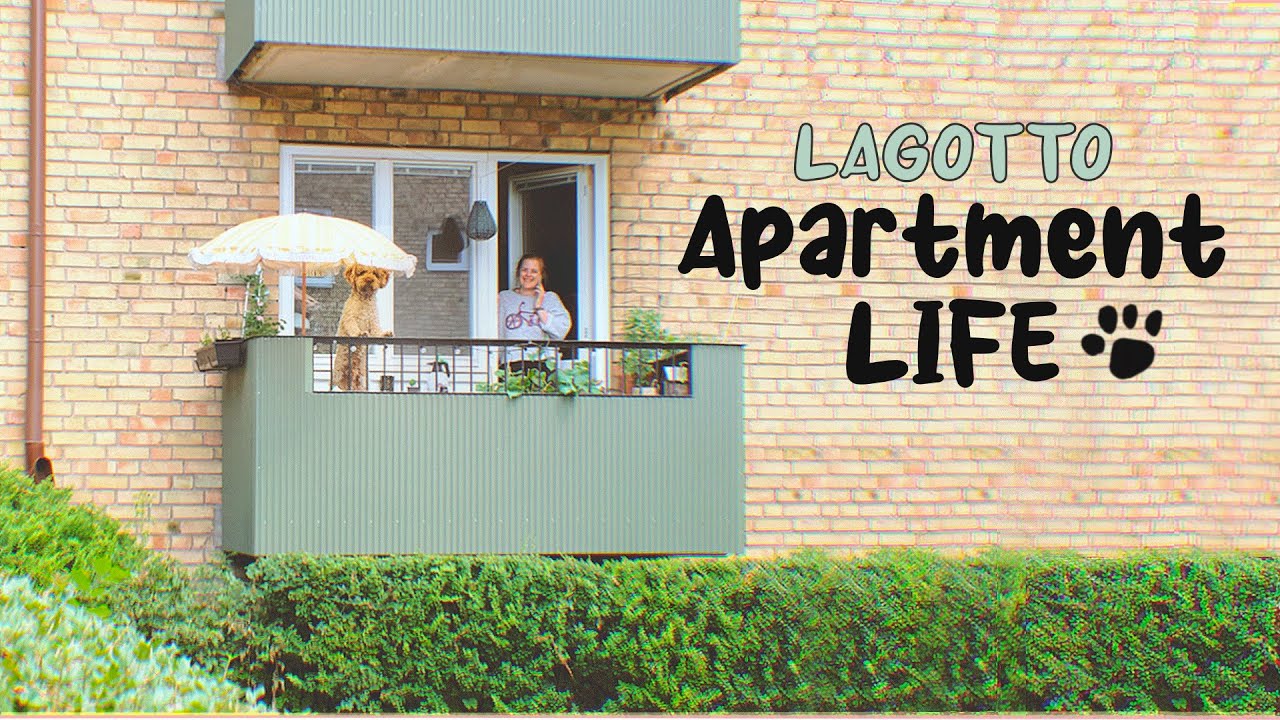 Lagotto Romagnolo | Daily Routine of a dog living in an apartment