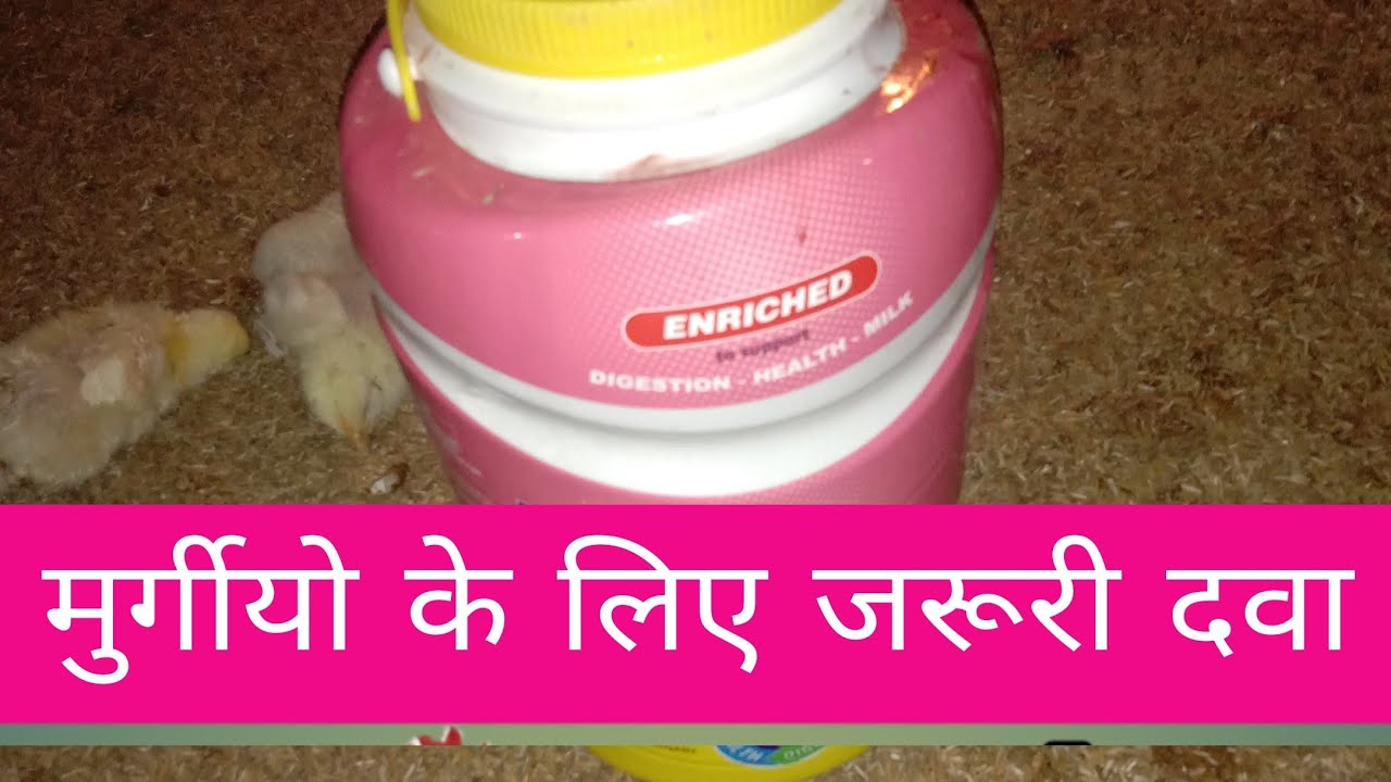 poultry medicine | osto vet poultry medicine | मुर्गीयो के लिए जरूरी दवा !