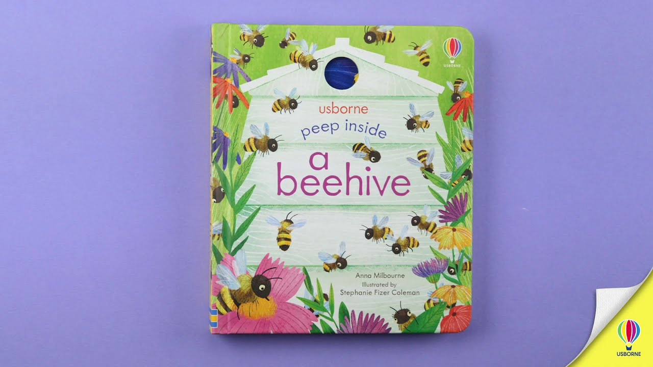Peep Inside a Beehive