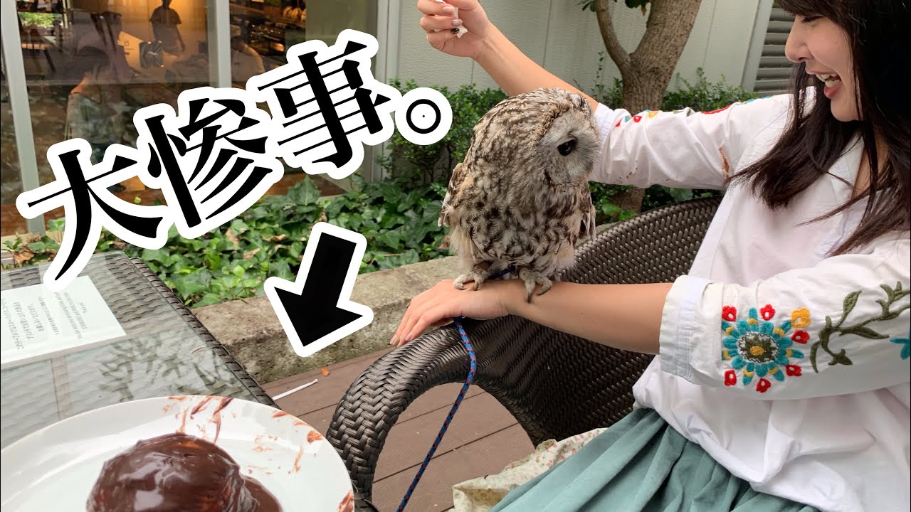 【久々のフクロウのお散歩】cute owl ハプニング続発…もりちゃんのお散歩！